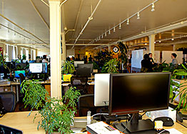 辦公室裝修設(shè)計(jì)墻面脫漆怎么辦？