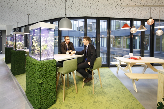 綠意黯然辦公室裝修.jpg 綠意黯然辦公室裝修.jpg